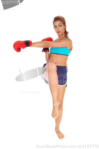 Image of Kickboxing young woman.