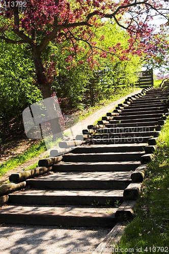 Image of Wooden stairway in a park