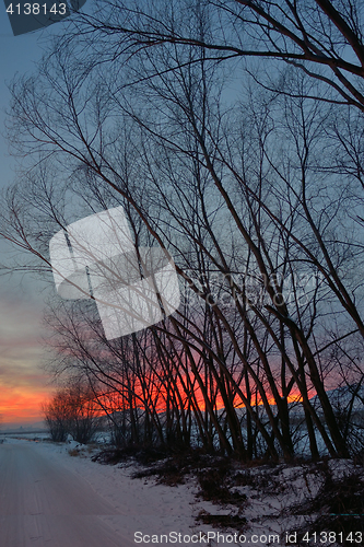 Image of sunset with tree shadow