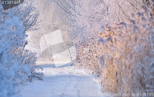 Image of rural road covered with snow