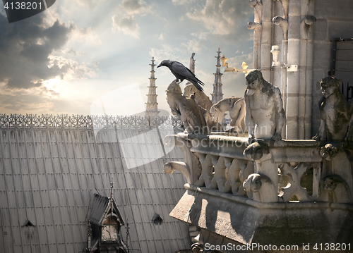 Image of Chimeras on Notre Dame