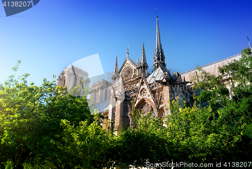 Image of Cathedral among trees