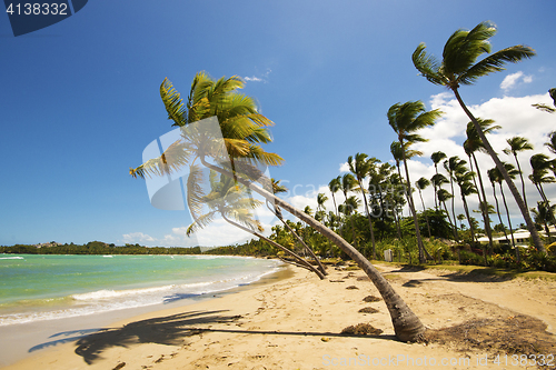 Image of Beach