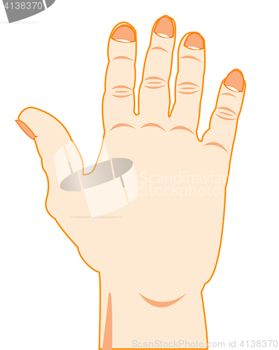 Image of Hand and finger of the person