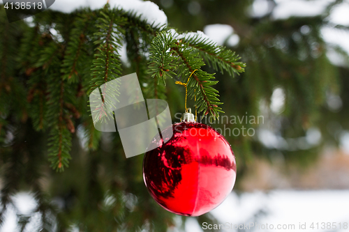 Image of red christmas ball on fir tree branch with snow