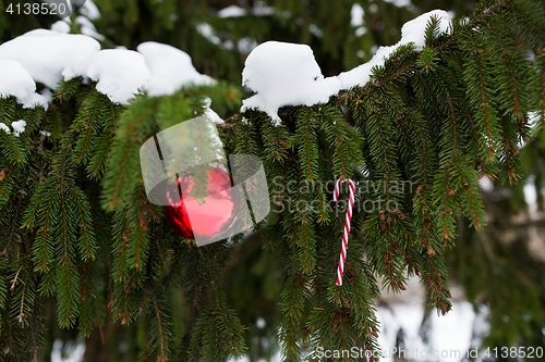 Image of candy cane and christmas ball on fir tree branch