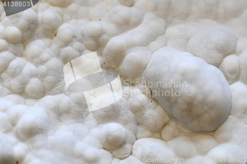 Image of abstract chalcedony mineral texture