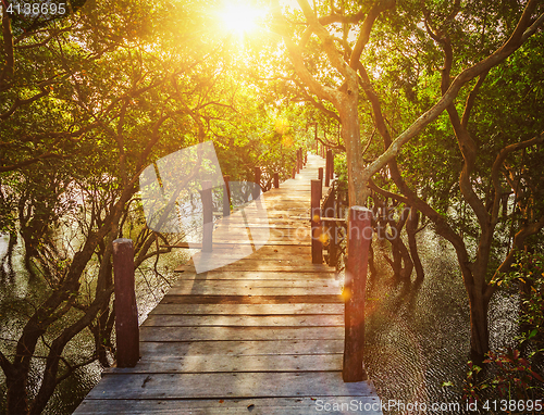 Image of Wooden bridge in flooded rain forest jungle of mangrove trees