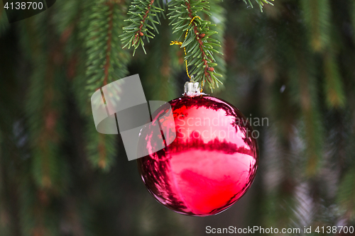 Image of red christmas ball on fir tree branch with snow