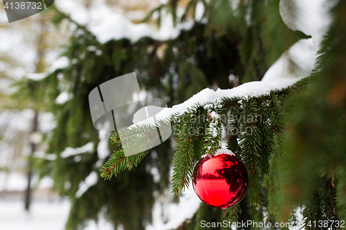 Image of red christmas ball on fir tree branch with snow