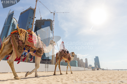 Image of Man offering camel ride on Jumeirah beach, Dubai, United Arab Emirates.