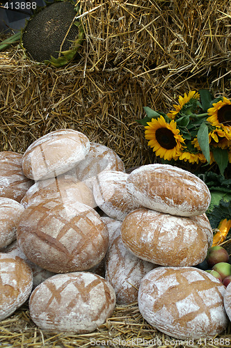 Image of Round countru bread