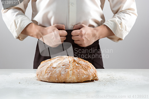 Image of The male hands and rustic organic loaf of bread