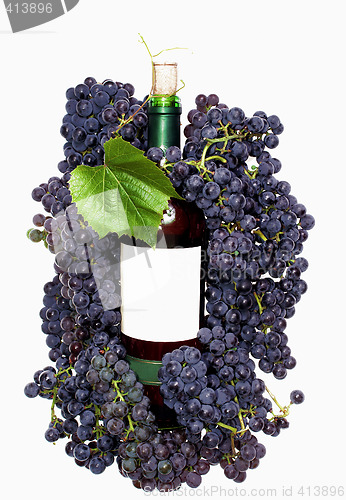 Image of Dark grape and wine