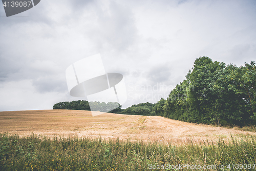 Image of Harvested field with green trees