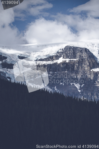 Image of Pine tree forest below a large mountain