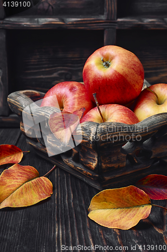 Image of 