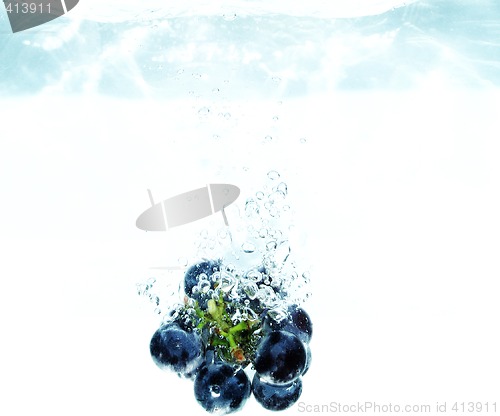 Image of Splash grape