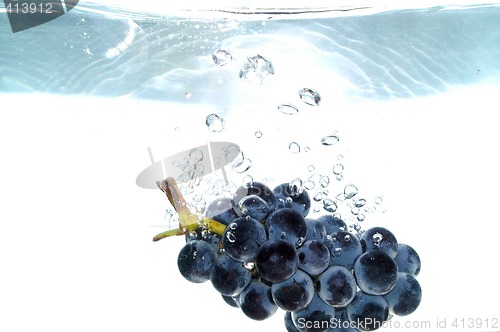 Image of Splash grape
