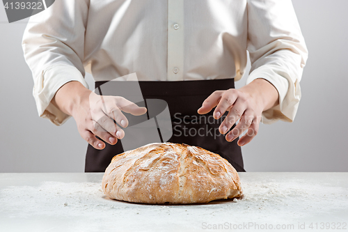 Image of The male hands and rustic organic loaf of bread