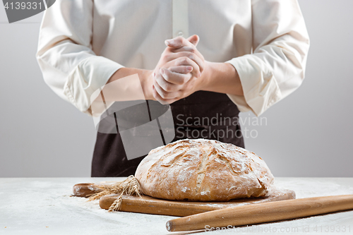 Image of The male hands and rustic organic loaf of bread