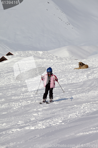 Image of Little skier and dog on ski slope at sun winter day