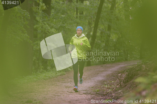 Image of Sporty young female runner in the forest. 