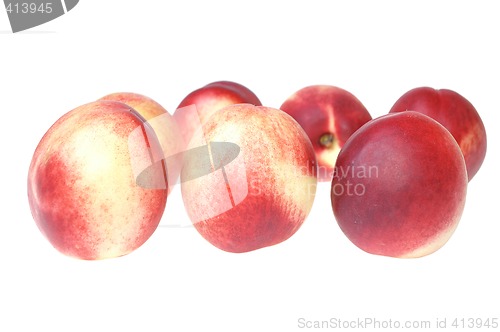 Image of Nectarine