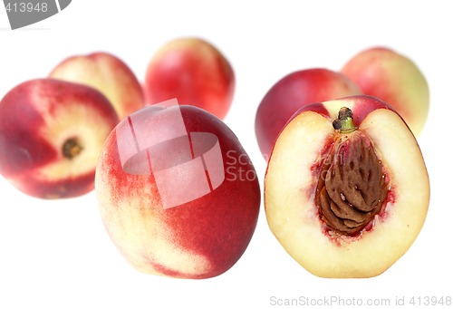 Image of Nectarine