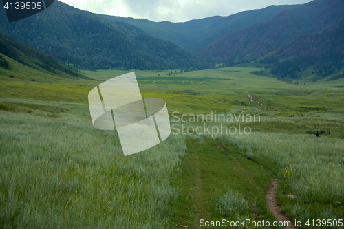 Image of Attractive mountain valley