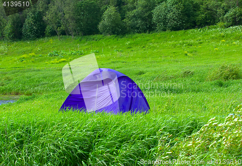 Image of Blue tent set in meadow, at woodside