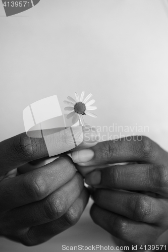 Image of portrait of African American girl with a flower in her hand