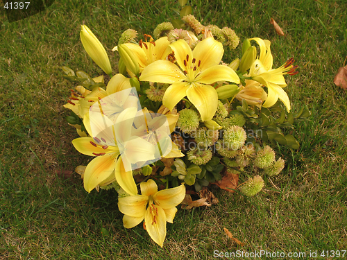 Image of Yellow lillies