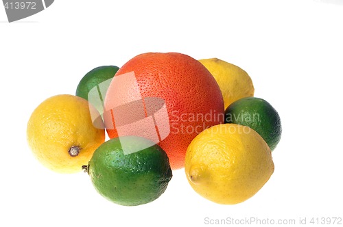 Image of Citrus fruits