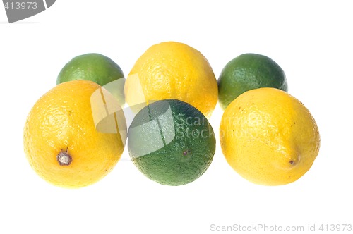 Image of Citrus fruits