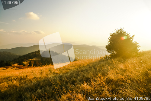 Image of Low Fatra region