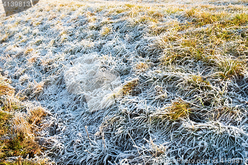 Image of frozen grass in winter