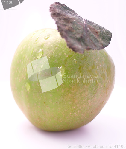 Image of Fresh Picked Apple