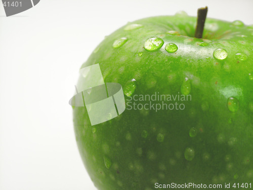 Image of Granny Smith Apple 2