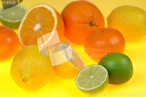 Image of Citrus fruits