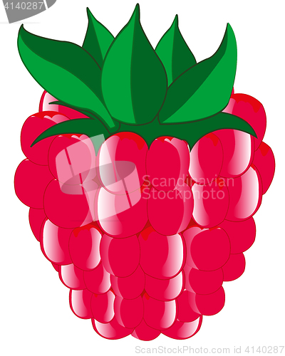 Image of Ripe berry raspberry