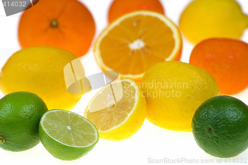 Image of Citrus fruits