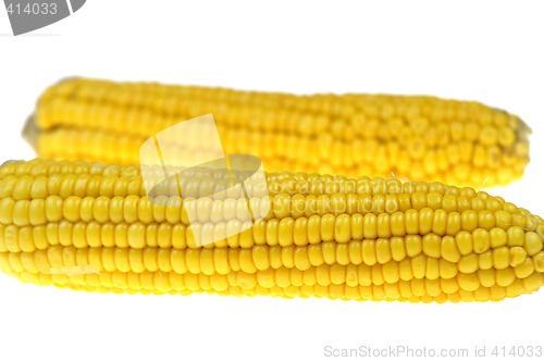 Image of Corn cob