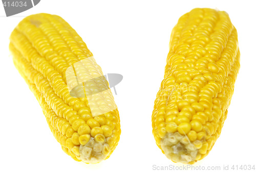 Image of Corn cob