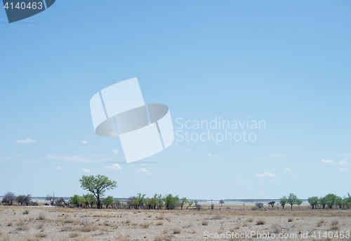 Image of Etosha park