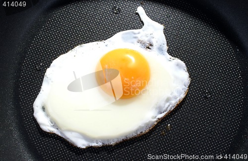 Image of Fried egg