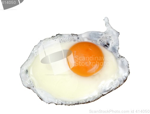Image of Fried egg