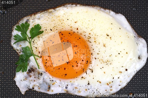 Image of Fried egg