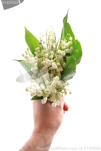 Image of lily of valley