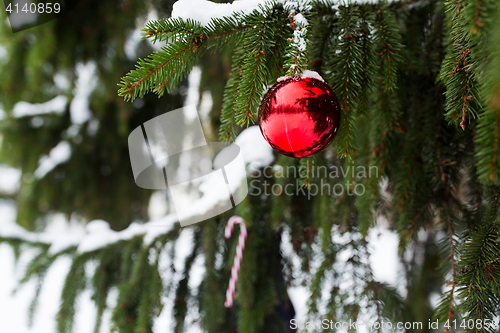 Image of candy cane and christmas ball on fir tree branch